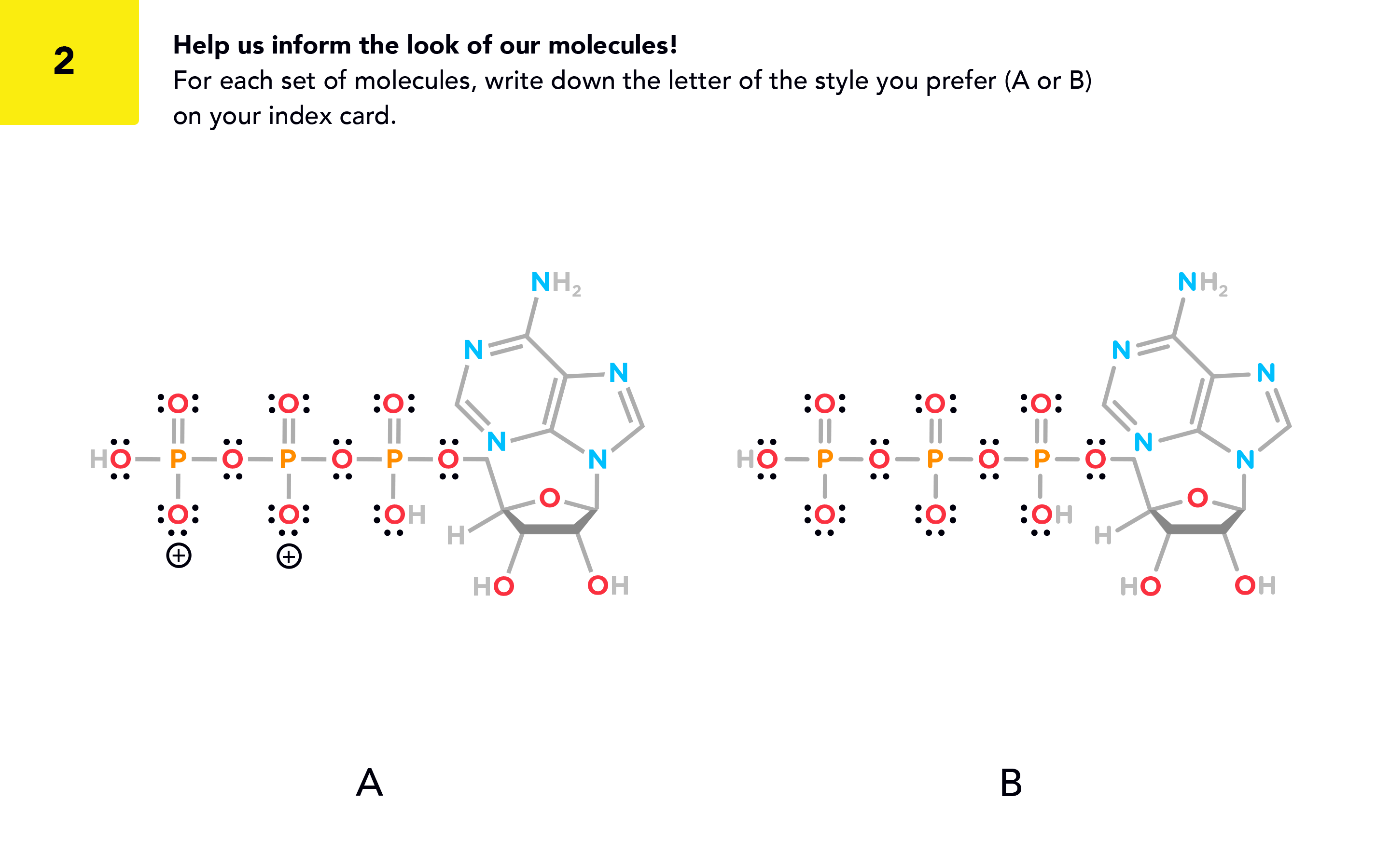 2_molVis_flashcards