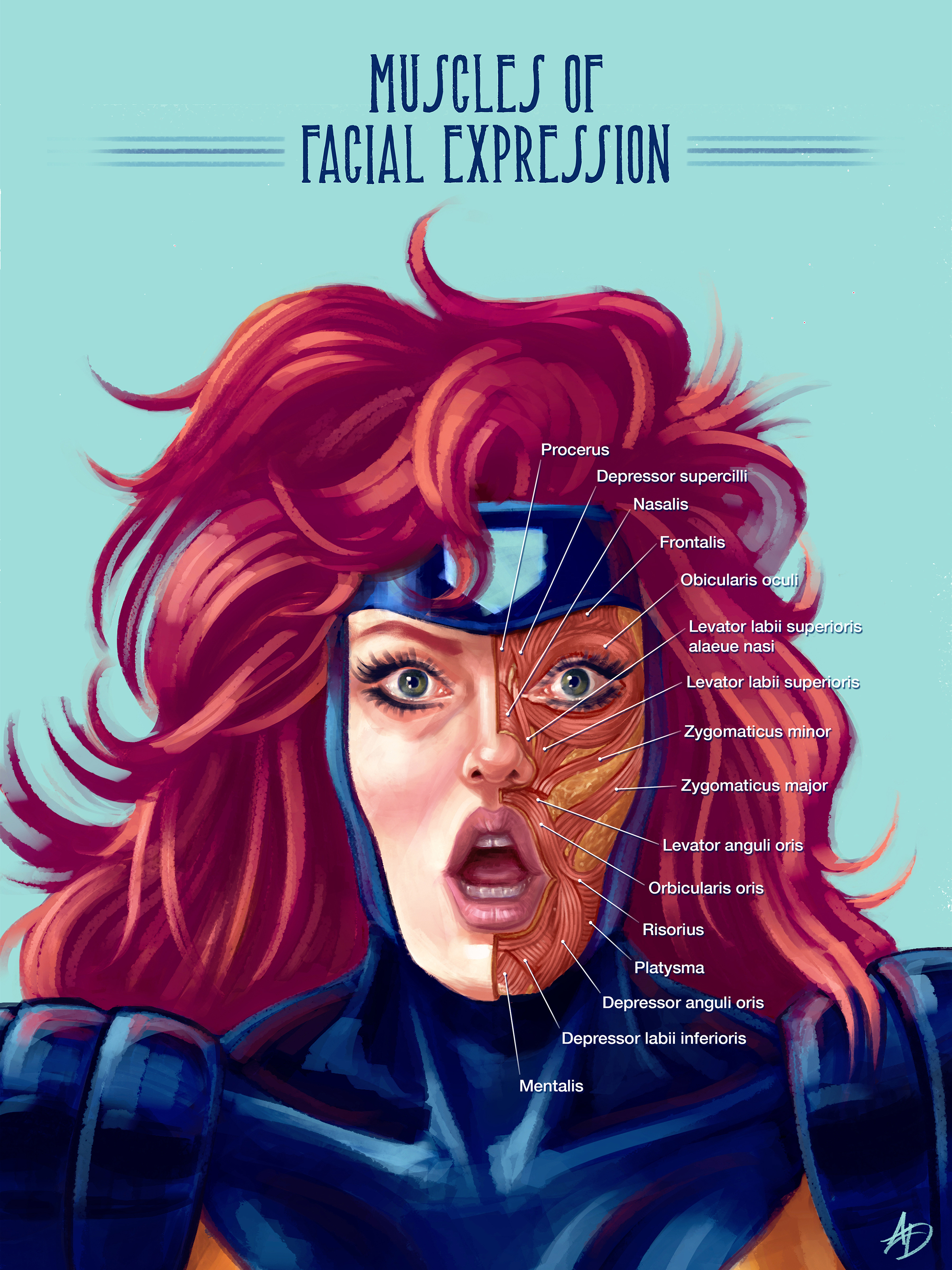 JeanGreyFacialMusclesFinal_InPrint