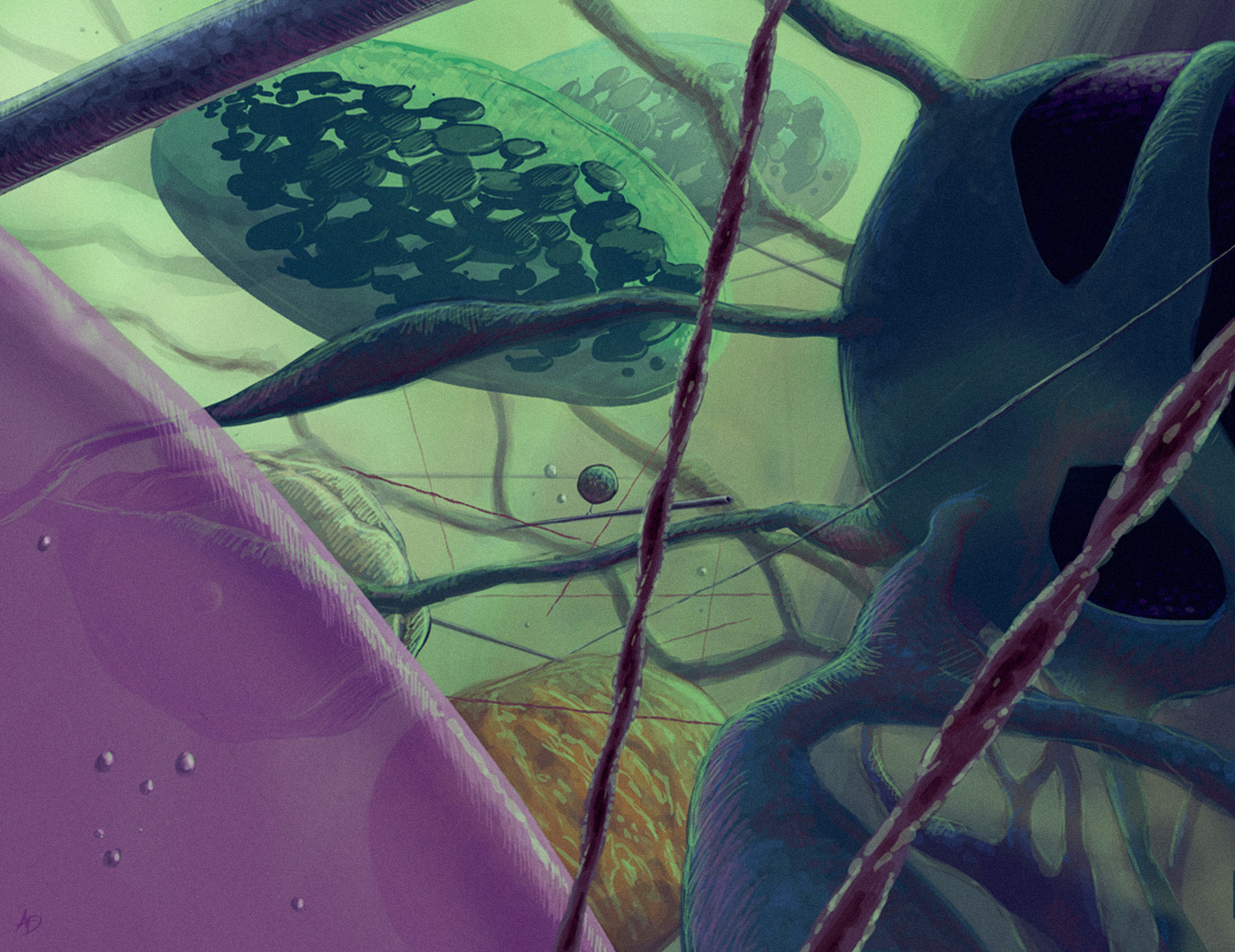 theCytosol